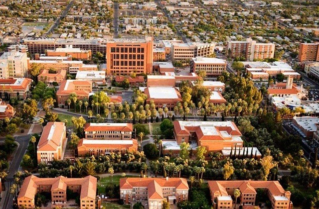 亚利桑那大学
